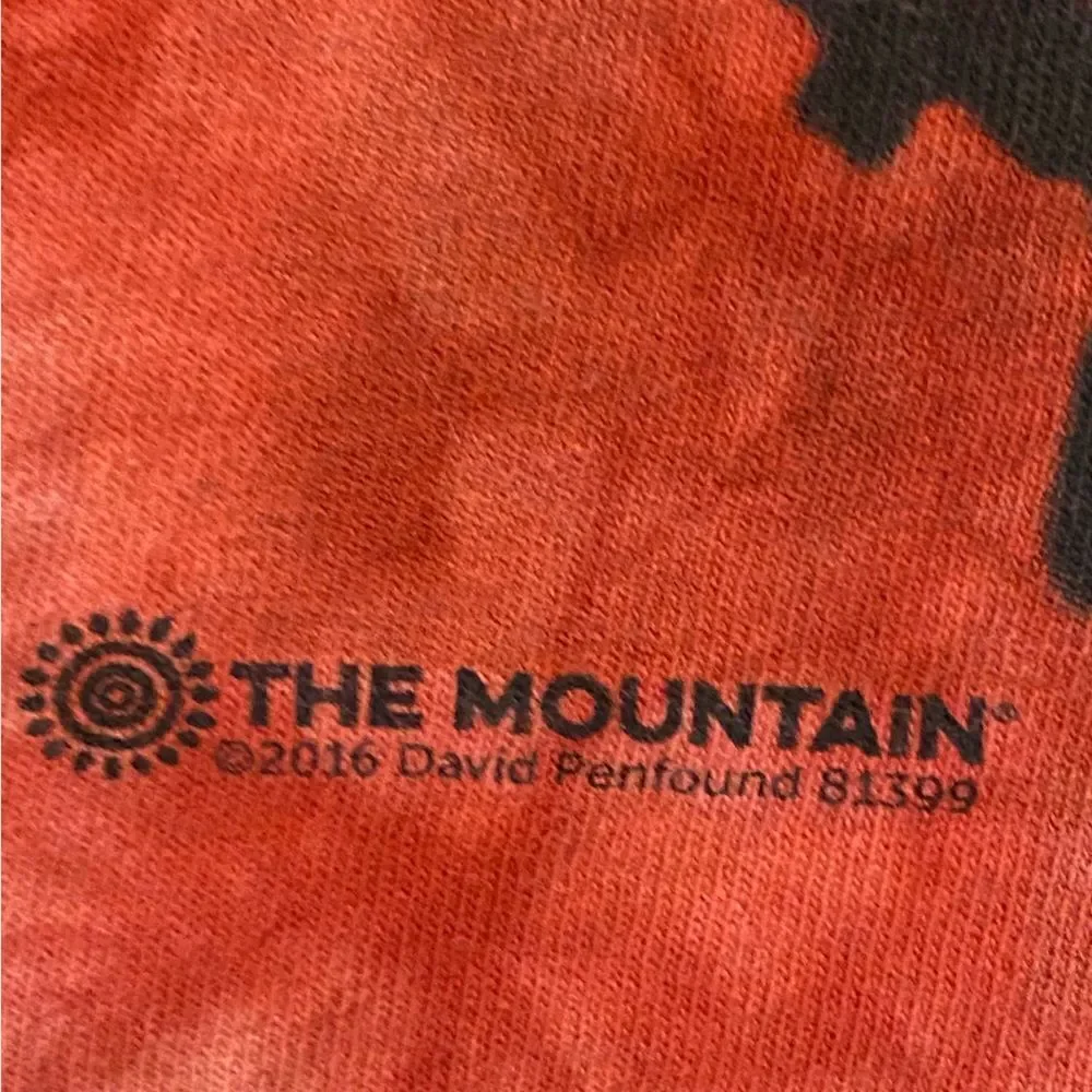 Kids The Mountain (S) Tyrannosaurus Rex Graphic T-Shirt
